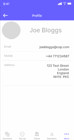 Screenshot of the Profile section of a Fire Personal account on mobile.